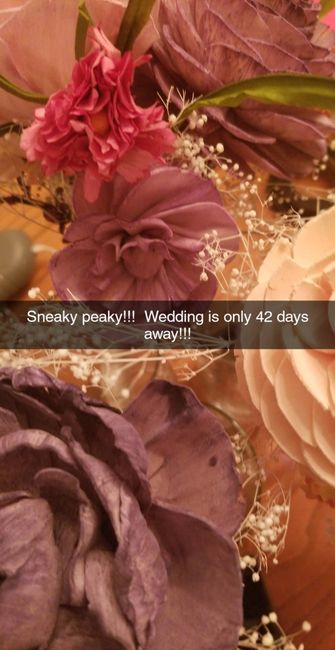 Update & Pictures! (lots) 25