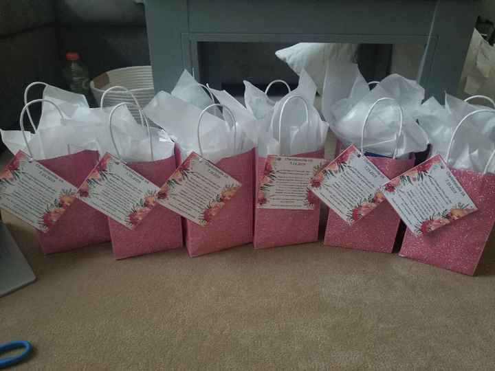 Bachelorette Hangover bags