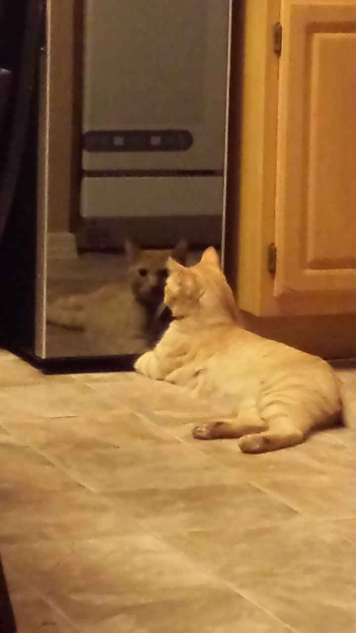 I got a fever, and the only prescription...