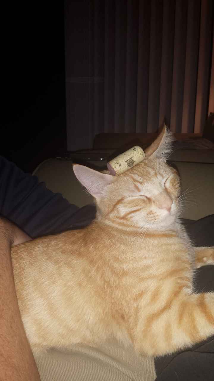 I got a fever, and the only prescription...