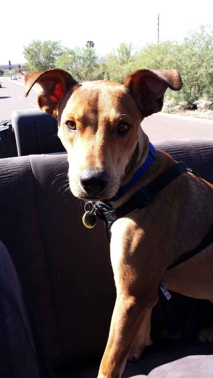 I got a fever, and the only prescription...