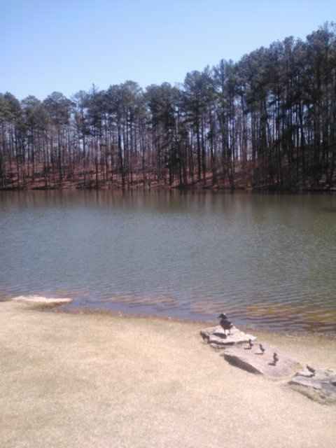 was having second toughtsuntil...*pic*