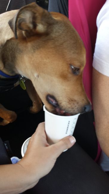 NWR: I got an early birthday present! It's a girl..puppy