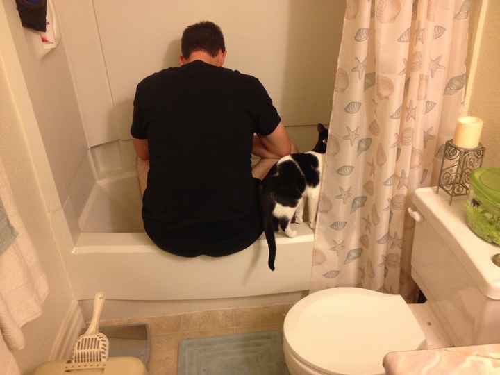 Show me your fur baby! (it has been awhile and I love seeing the pets!)