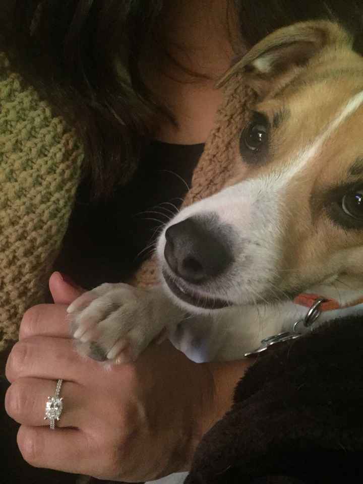 Show off your rings!