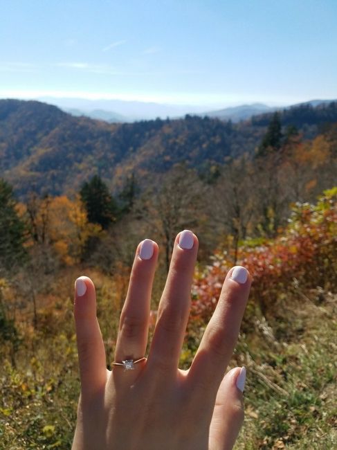 Show me your rings!