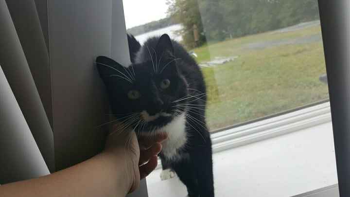 NWR Our newest addition to the family