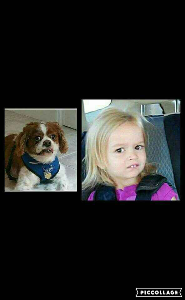 How to word this, nicely...