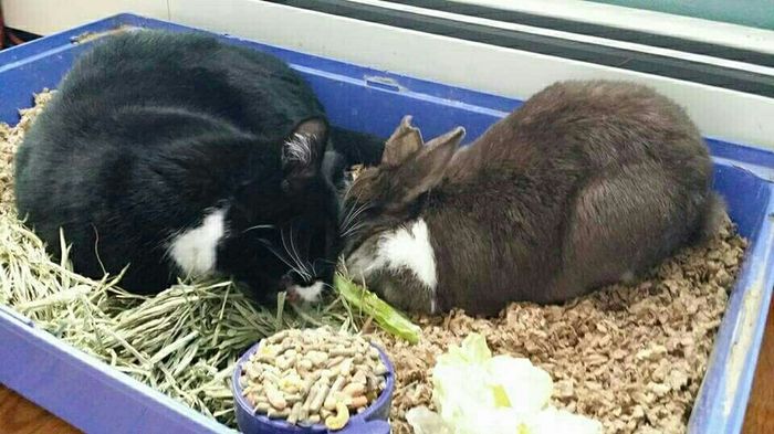 NWR sad news :'(
