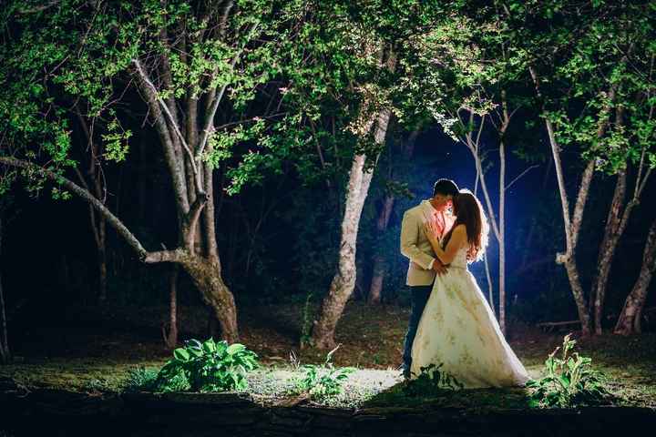 Had to have a forest pic