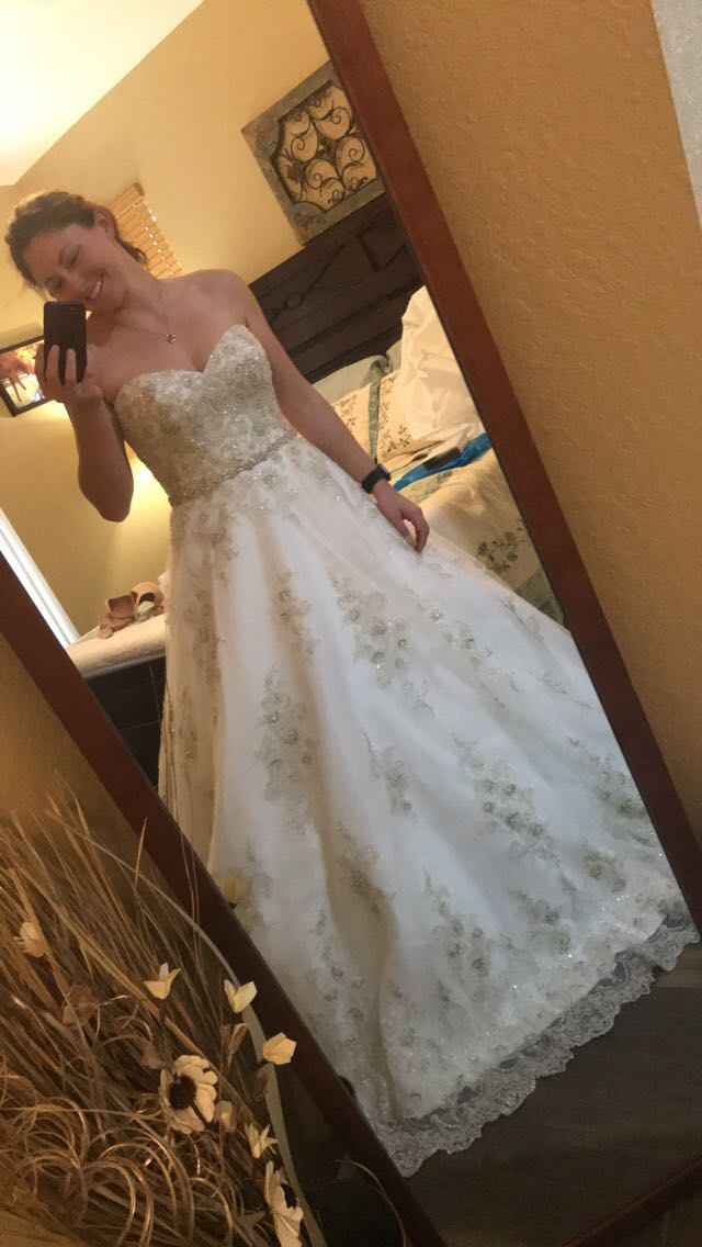  My dress arrived! - 1