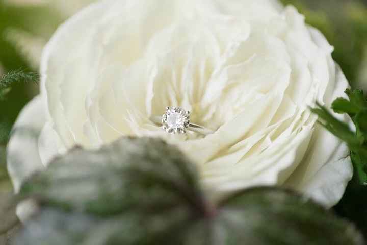 Moissanite rings
