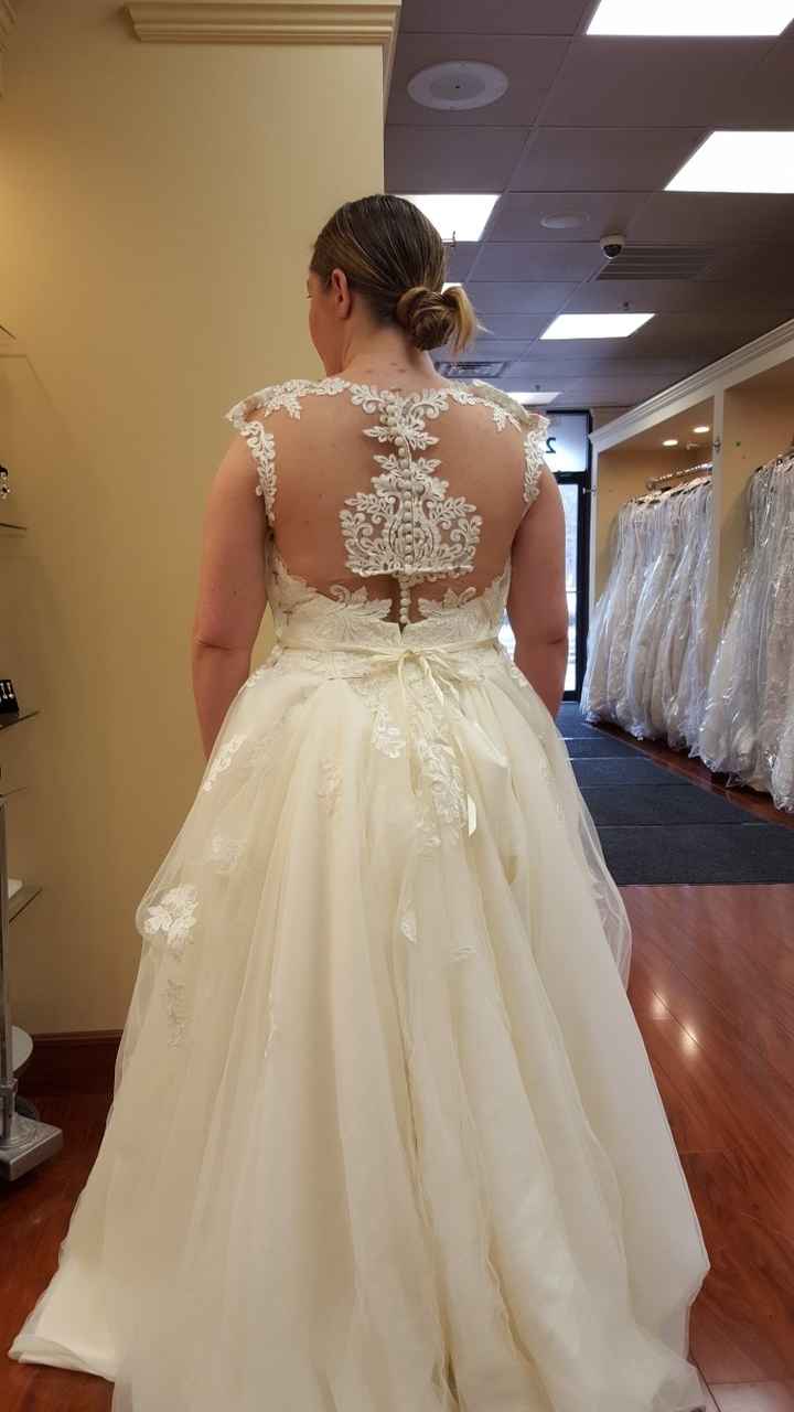 Show me your Bustle - 1