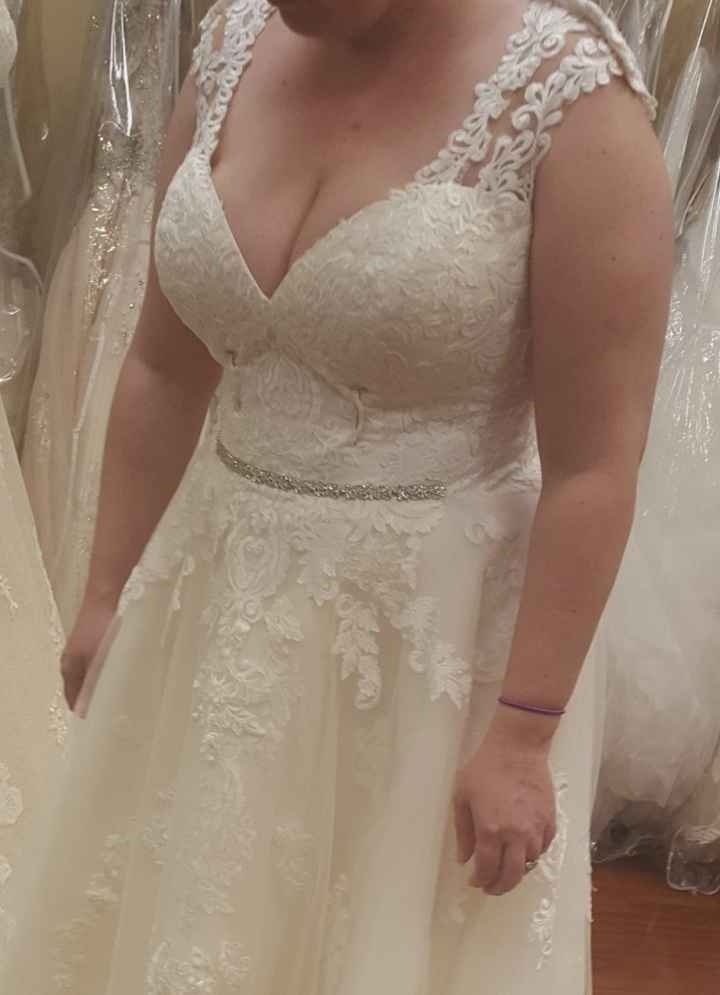 To belt or not to belt! - 1