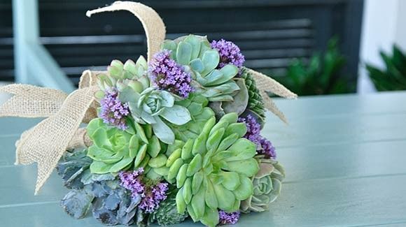 DIY Succulent Bouquets?