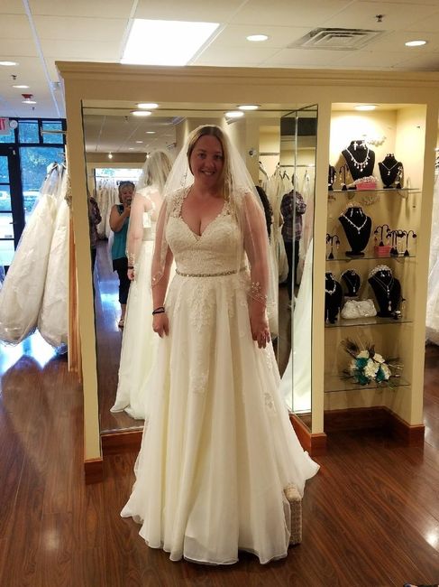 Dress size 14 - Street Size 12. Dress pics??