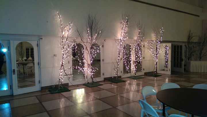 Chair sashes and covers.......?