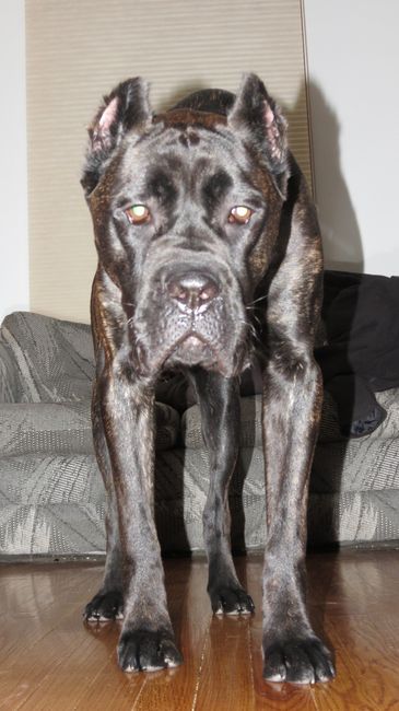 NWR Show me your furbabies