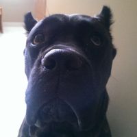 NWR - Furbaby Friday