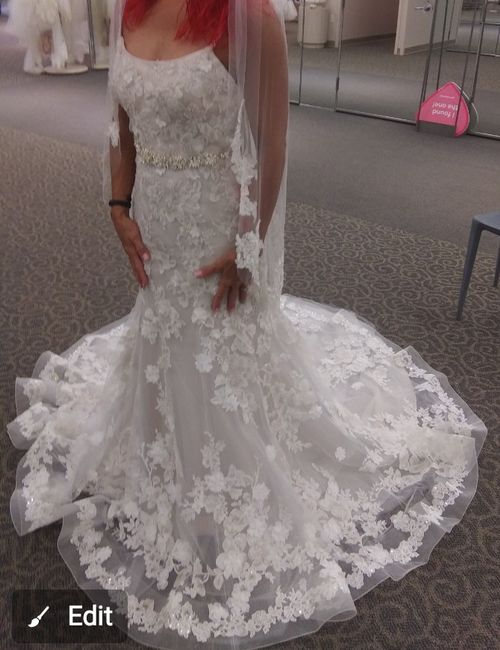 Did i get the wrong veil? - 2