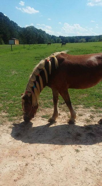 Ok, now I'm a Bride!❤ 4