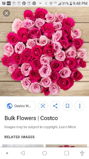 Possible wedding colors? 5