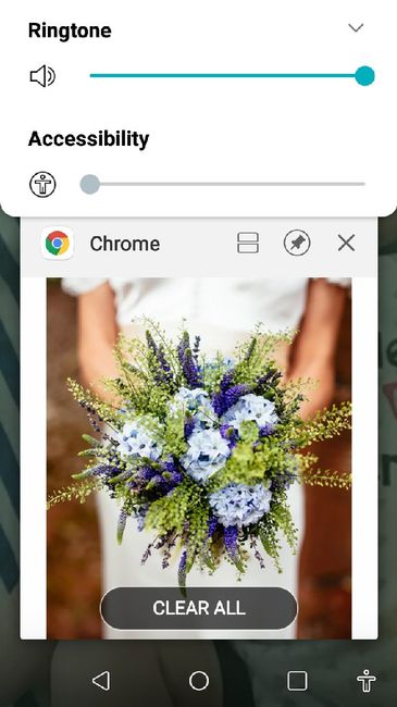 Possible wedding colors? 6