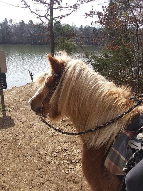 84 days! Another task completed. 4