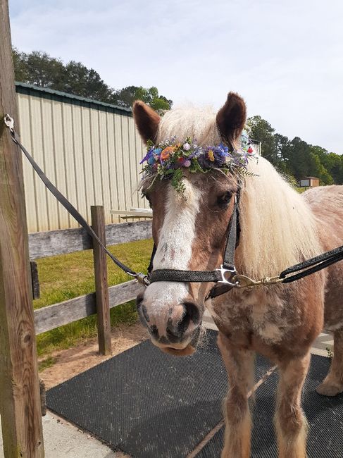 Another Wedding test run for Sassy 2