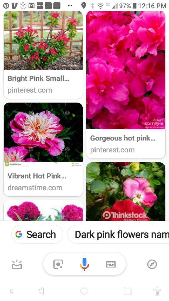 My wedding dress is green. Anyone have ideas for a color palette? - 4