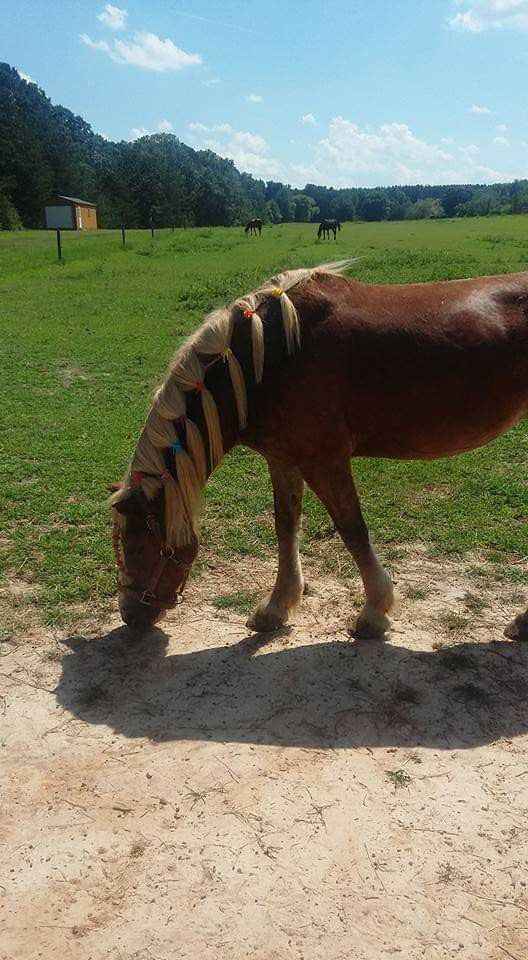 Ok, now I'm a Bride!❤ - 4