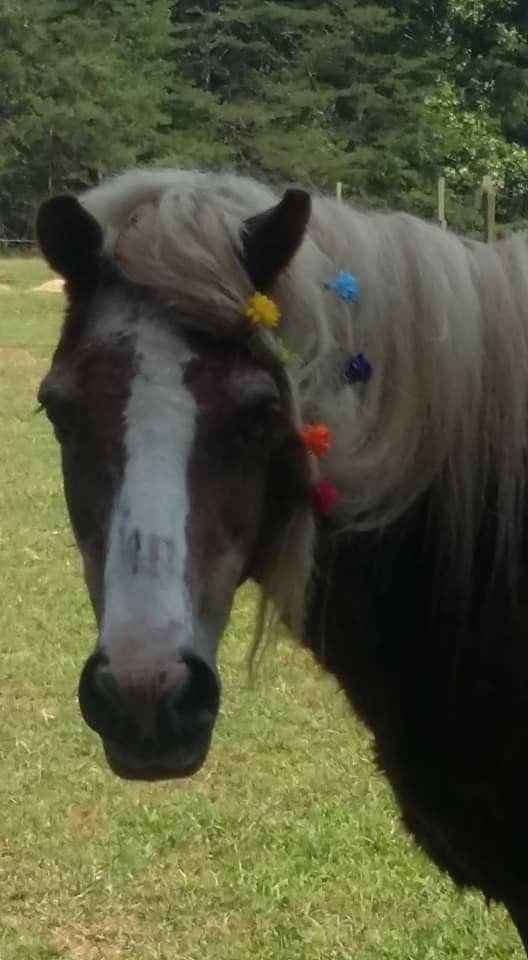 Ok, now I'm a Bride!❤ - 6