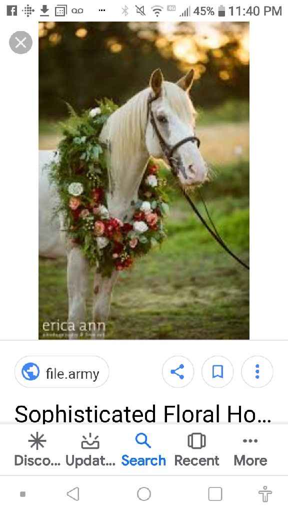 Animal in the wedding - 1