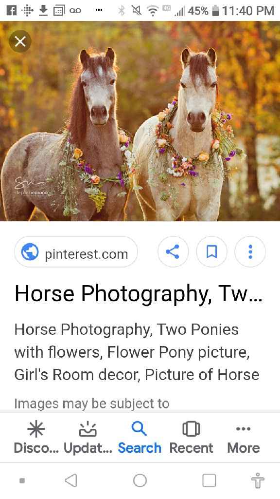 Animal in the wedding - 2