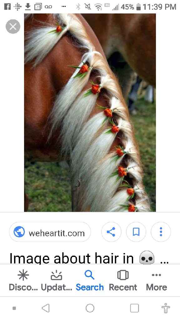 Animal in the wedding - 3