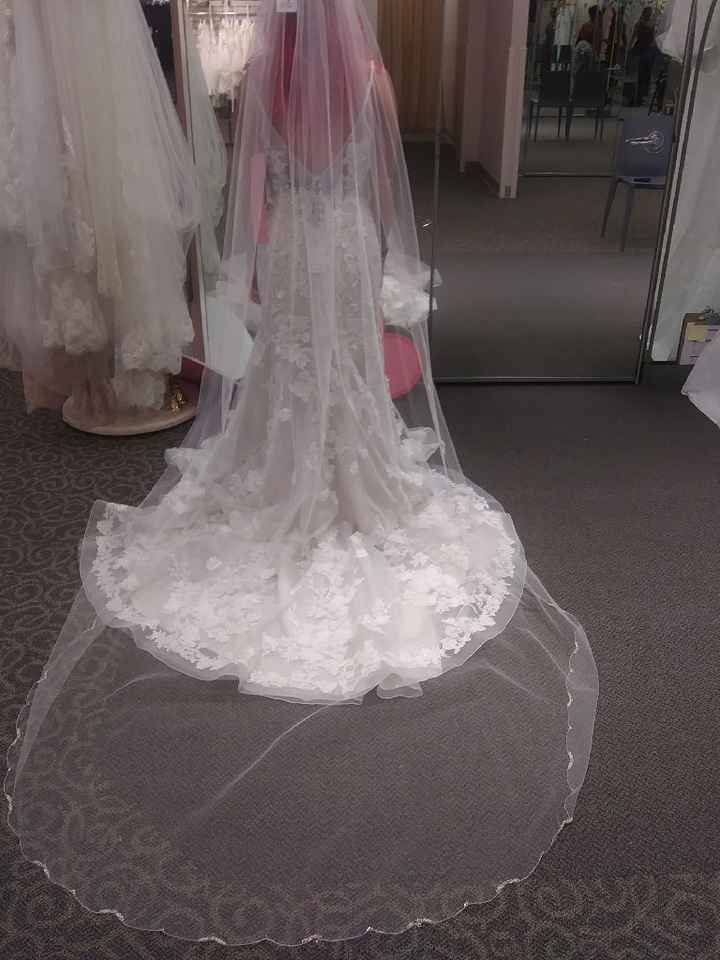 Veil or no? - 1