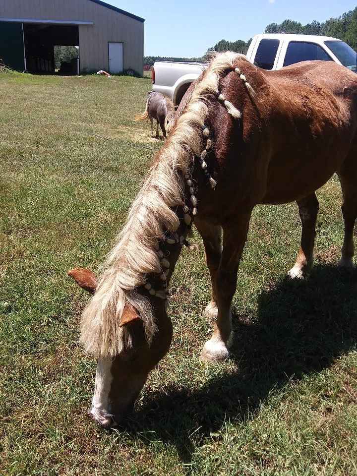 When did it become real for you? Where are you in your planning? - 1