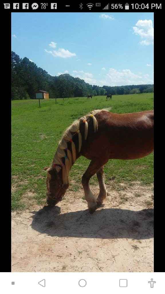 Ladies of North Carolina, how did you ultimately decide on your vendors?? Tell me how you feel about