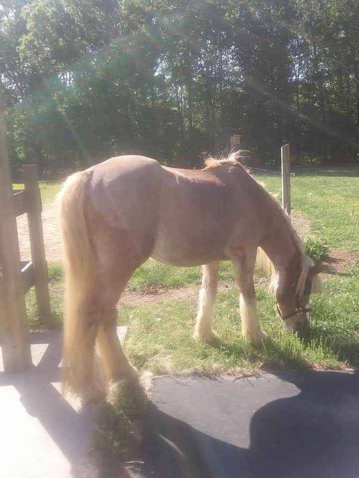 Newly engaged brides(or all brides) show me your inspiration pictures. - 8