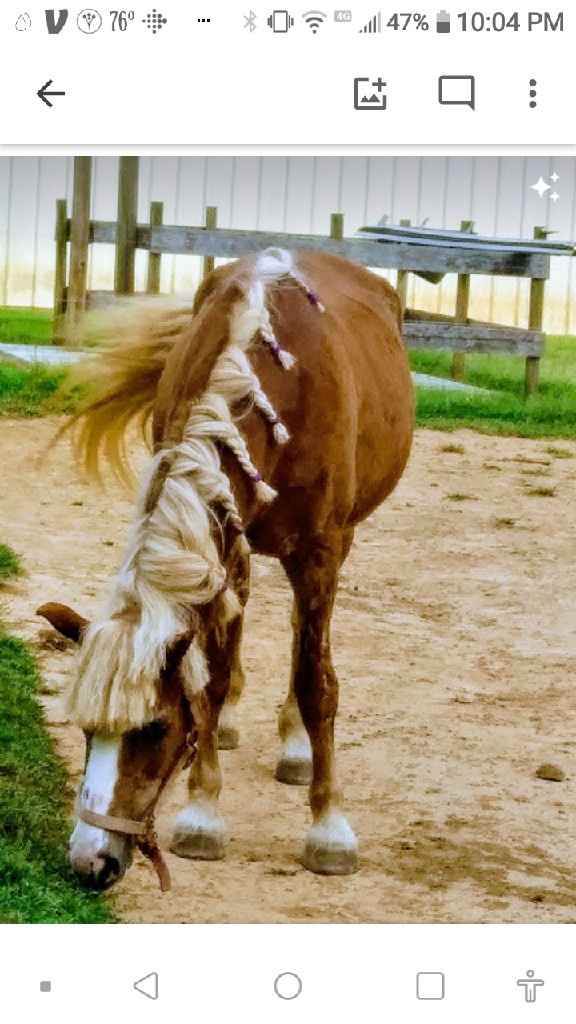 Tell me about your wedding style. What is the vision you have for your big day? - 7