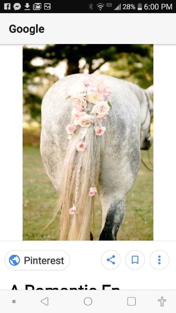 Tell me about your wedding style. What is the vision you have for your big day? - 13