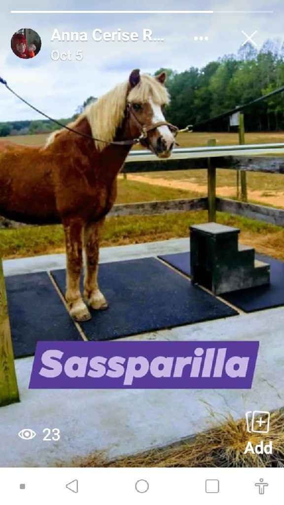 Tell me about your wedding style. What is the vision you have for your big day? - 23