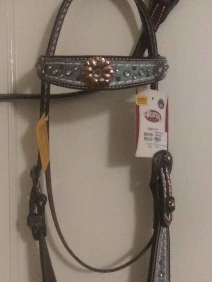 Seven months to go, how about you? - 4