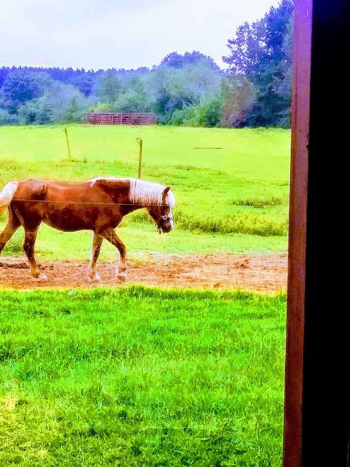 Invitations ordered, show me yours! - 3