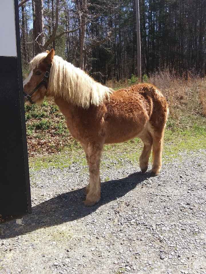 84 days! Another task completed. - 3