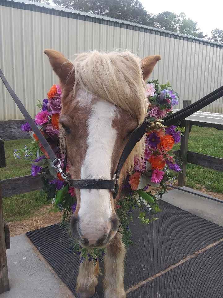 Something to Lighten the mood ❤🐎 - 1