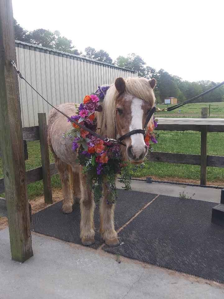 Something to Lighten the mood ❤🐎 - 2