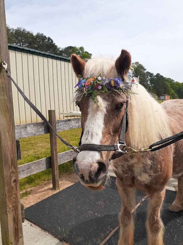 Another wedding test run for Sassy - 2