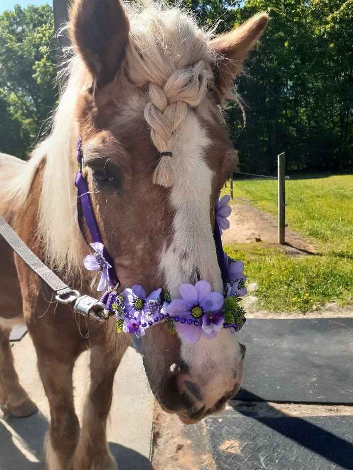 38 days! More projects completed 💜🥰 - 4