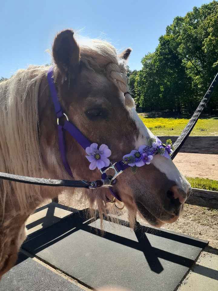 38 days! More projects completed 💜🥰 - 5